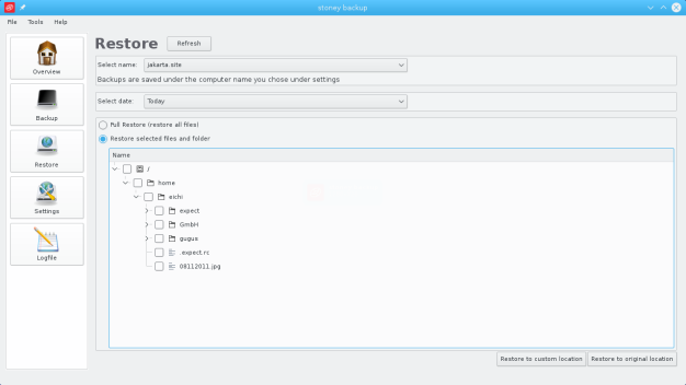 manual restore of data